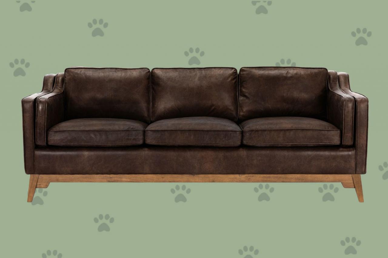Couch dogs leather owners dog